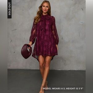 Elegant Lace Burgundy Dress